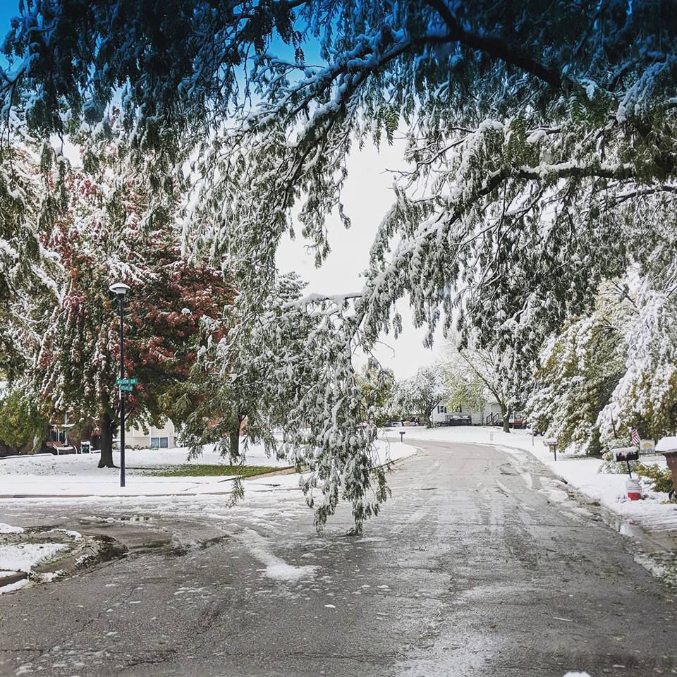 Snow, 10/14